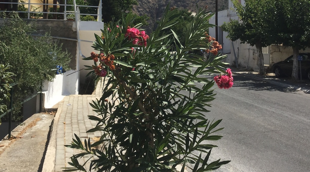 Beautiful laid back village. Beech about3 KLM’s away.