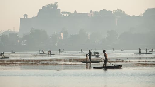 Fishermen catching fish at lake in Dhar city of madhya pradesh state. India.