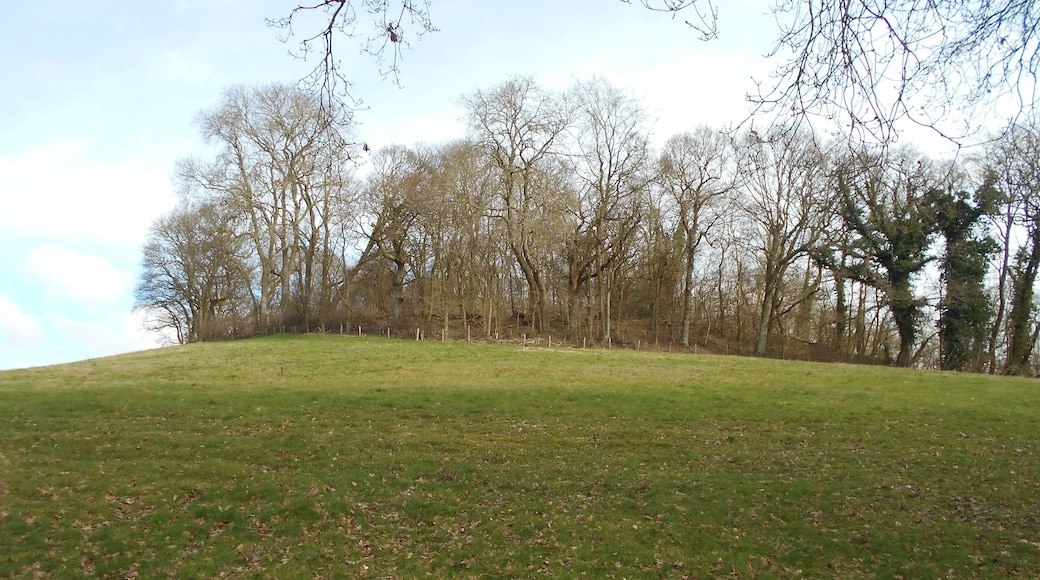 King John's Hill, in Worldham Parish, Hampshire. The hill was an Iron Age hillfort, with a later medieval hunting lodge attributed to King John.
