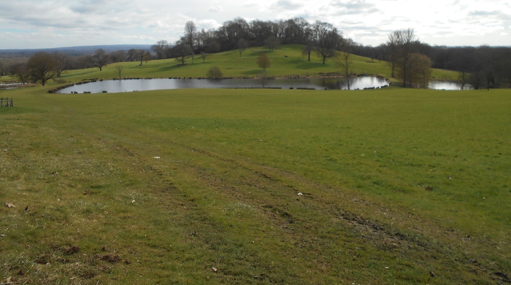 King John's Hill, in Worldham Parish, Hampshire. The hill was an Iron Age hillfort, with a later medieval hunting lodge attributed to King John.