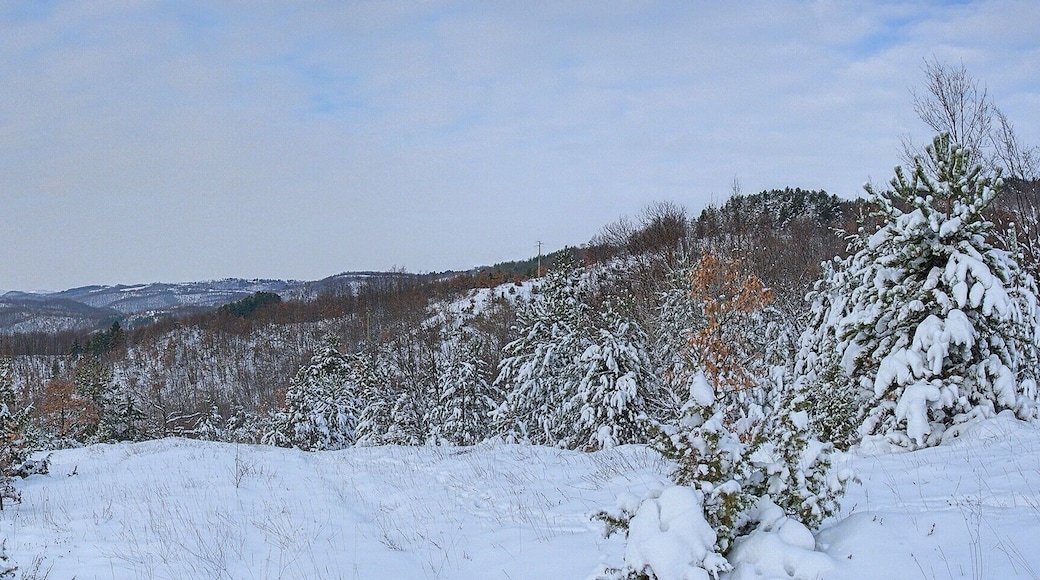 ... sette mesi dopo ...