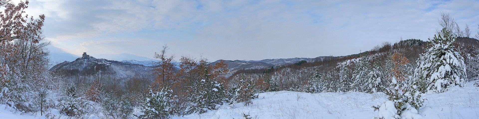 ... sette mesi dopo ...