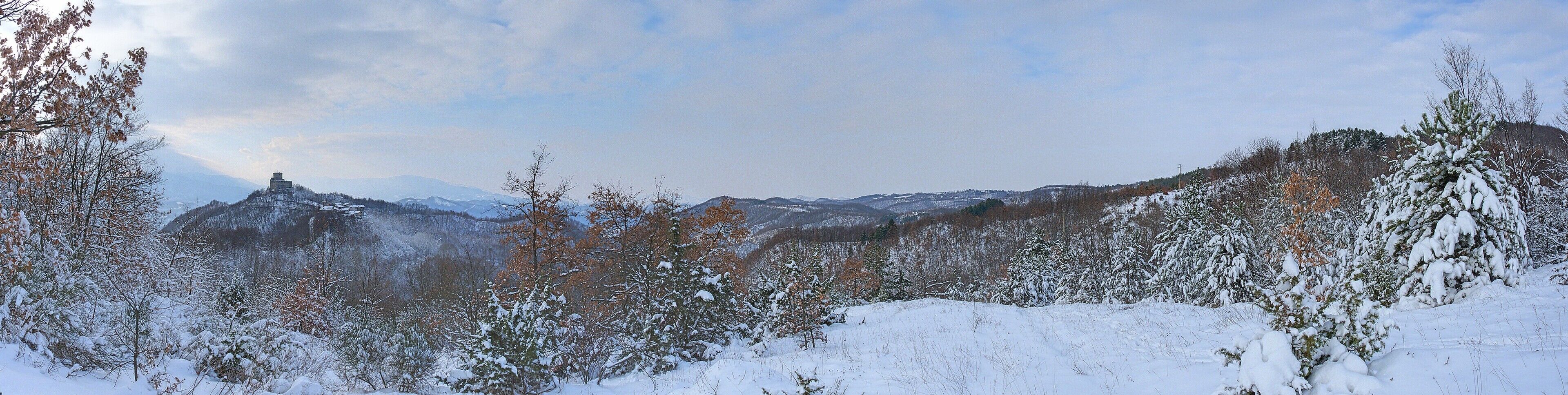 A snowy mountain landscape with trees and a distant mountain peak.