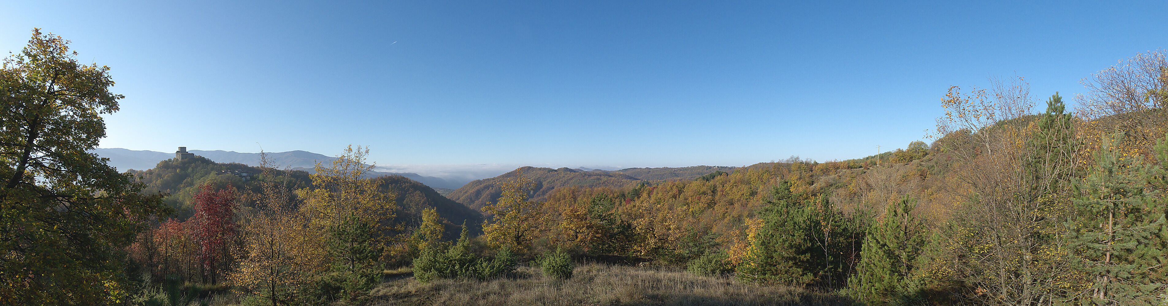 Vista verso Sud (ovest), quattro mesi dopo