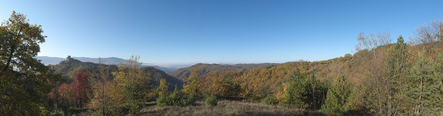 Vista verso Sud (ovest), quattro mesi dopo