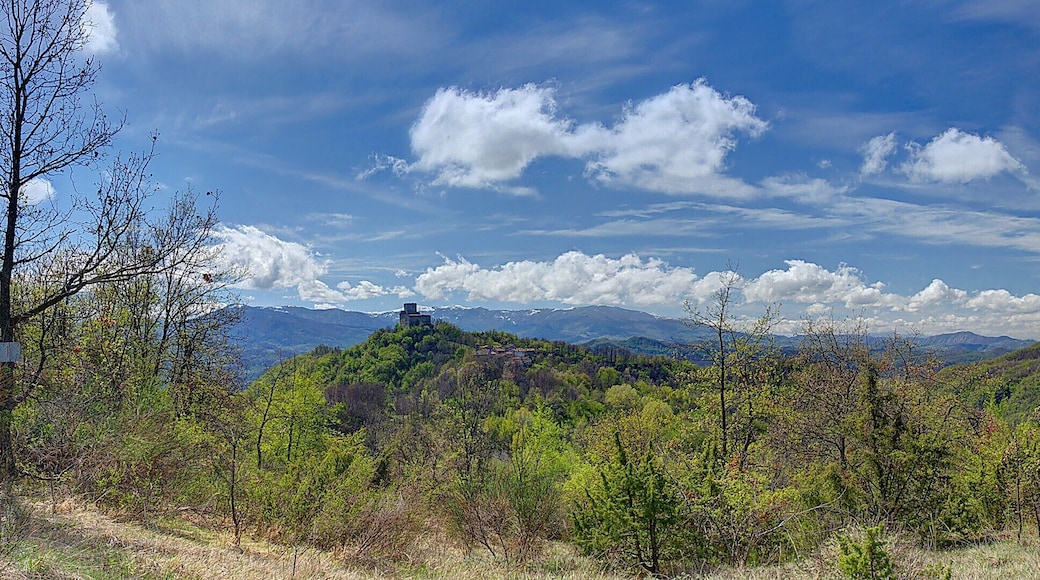 10 mesi dopo... le quattro stagioni al completo