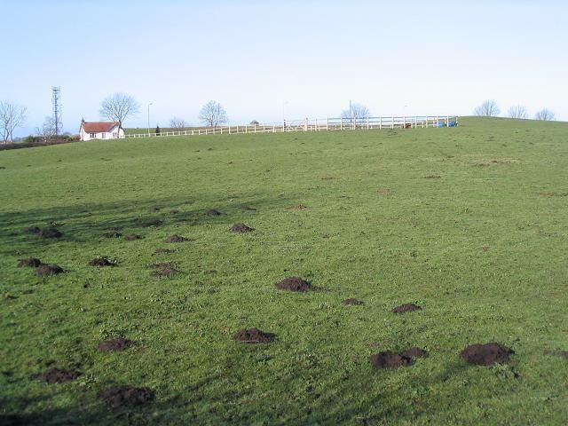 The Thing in Thingwall, Cross Hill