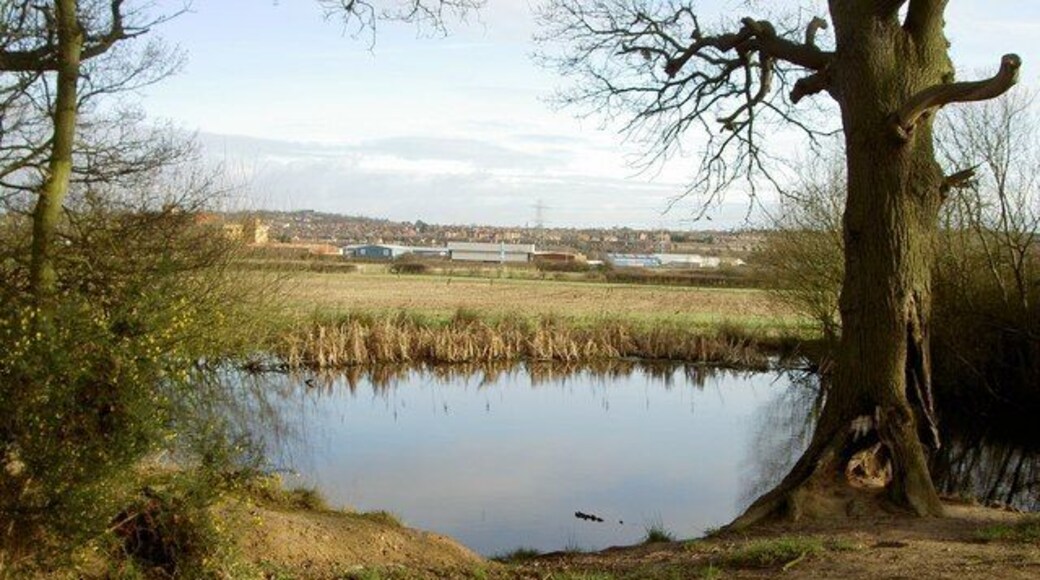 Pond by the side of Landican Lane