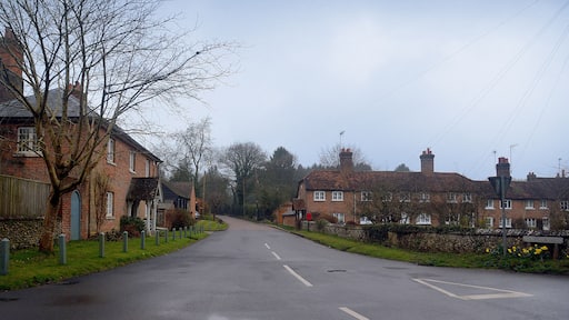 Ringshall : Beacon Road