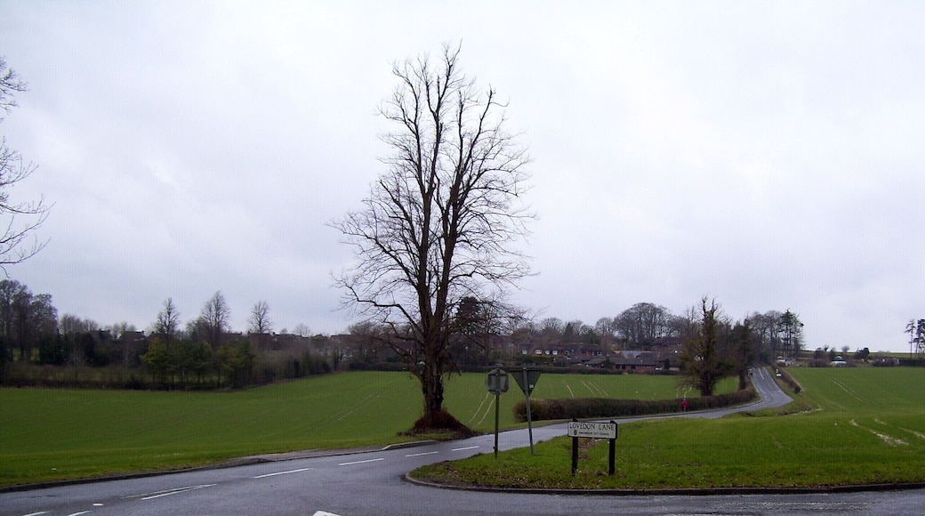 Junction on the A33 The smaller road is Lovedon Road leading to Kings Worthy.