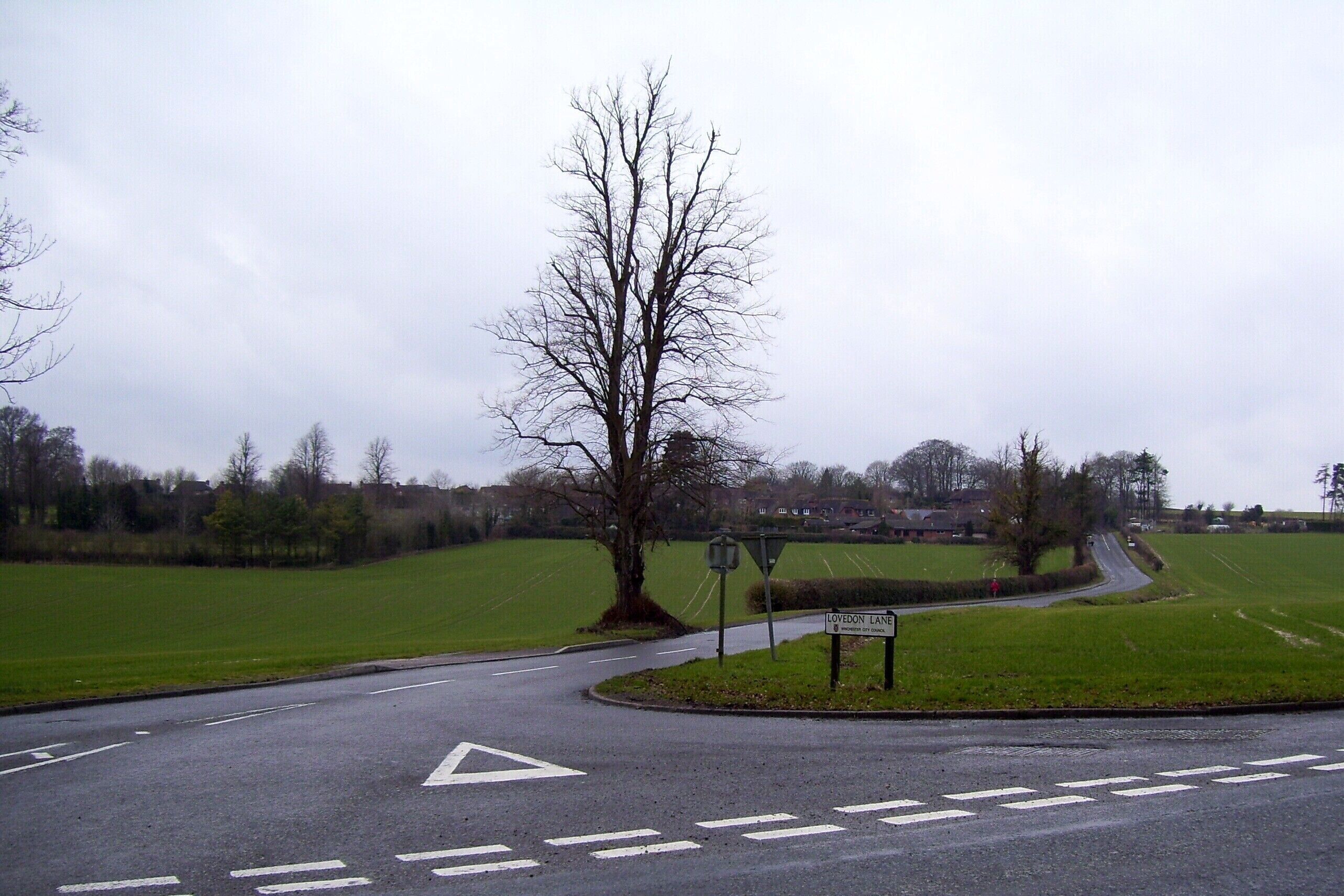 A rural road curving to the right with a 'LOVEDON LANE' sign, surrounded by green fields and leafless trees.