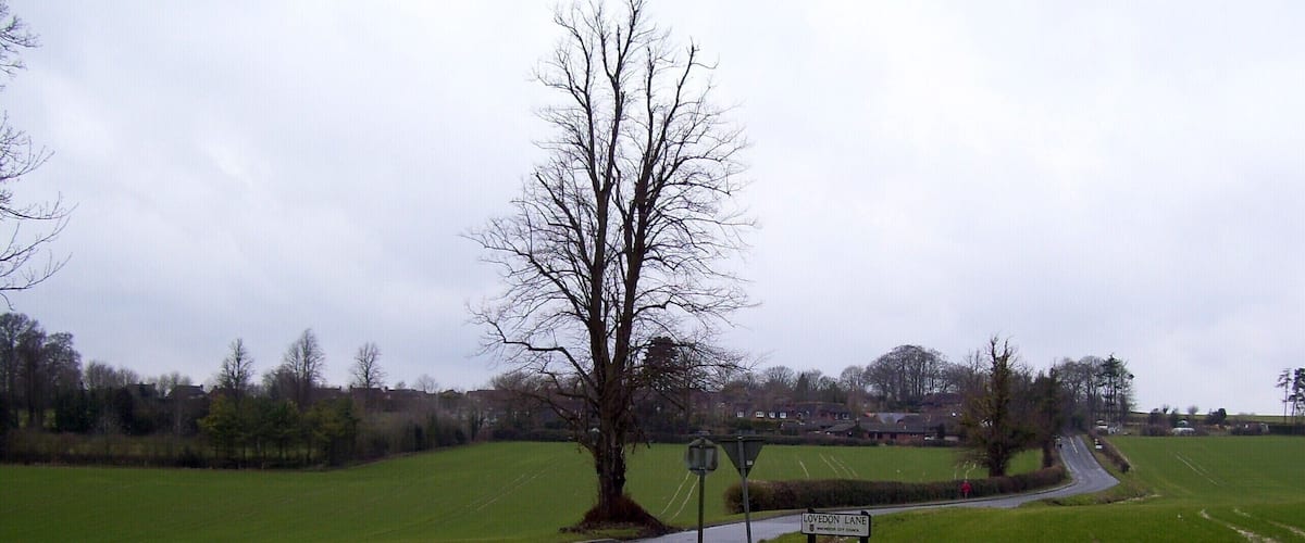 A rural road curving to the right with a 'LOVEDON LANE' sign, surrounded by green fields and leafless trees.