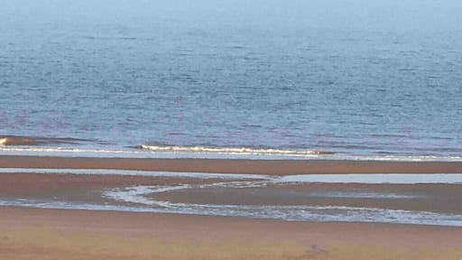 Serene giant turbines changing the views.