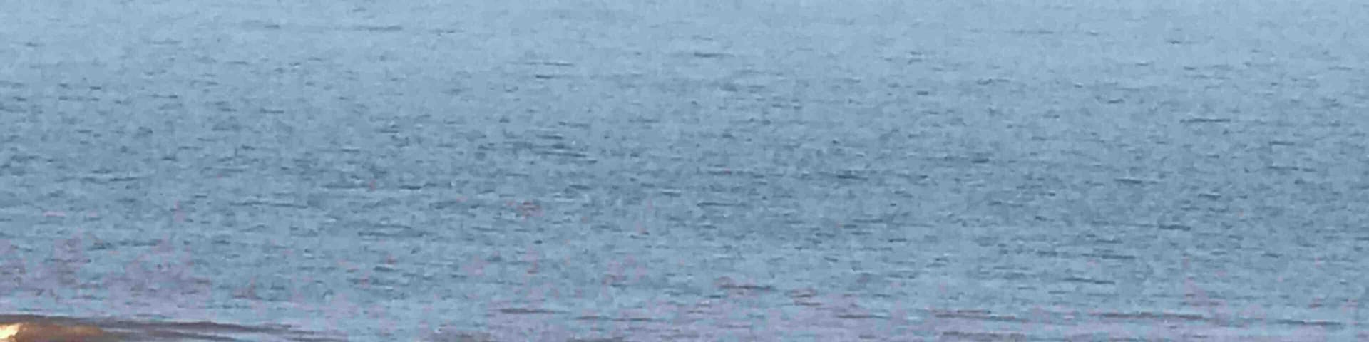 Serene giant turbines changing the views.