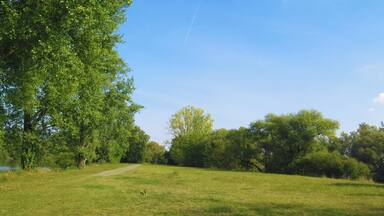 (NSG:BY-NSG-00595.01)_Mainaue bei Augsfeld