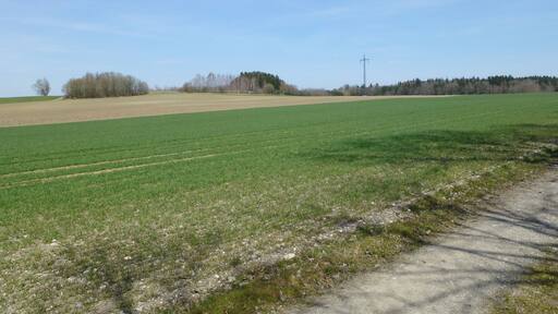 Endmoräne Vogelberg nördllich von Geltendorf. Aufnahme von SW