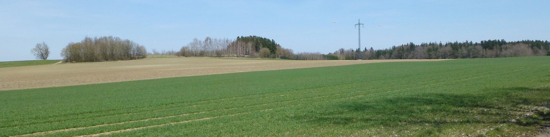 Endmoräne Vogelberg nördllich von Geltendorf. Aufnahme von SW