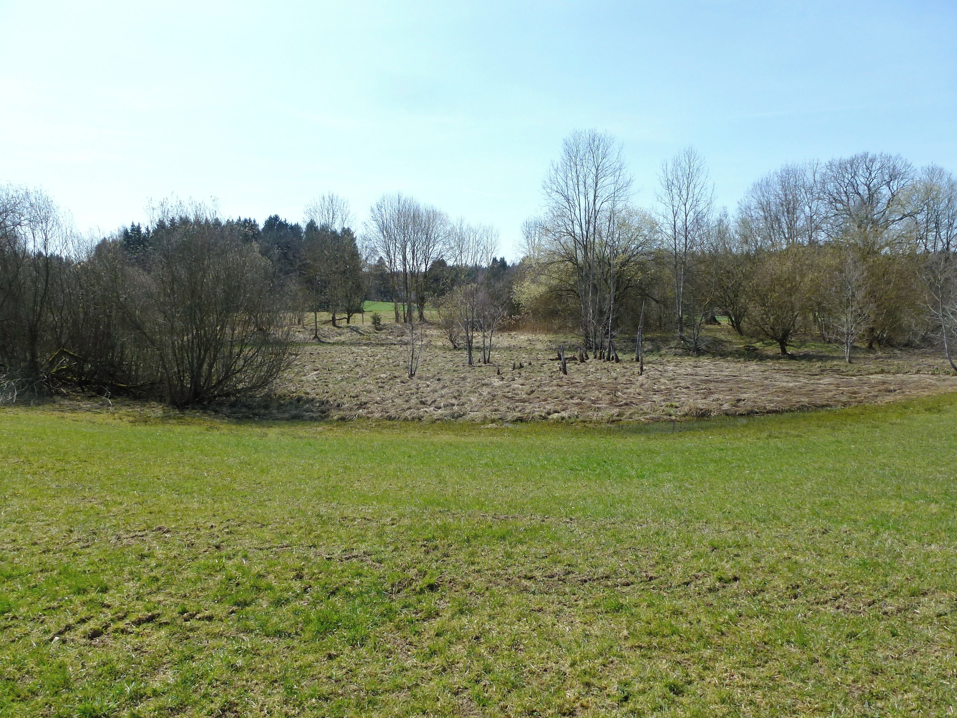 Toteisloch Ramsach (zur Gemeinde Penzing (Obb.) gehörig). Ansicht aus N