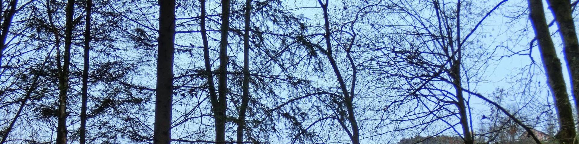 Schutzhütte bei der Weihersmühle