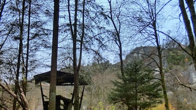 Schutzhütte bei der Weihersmühle