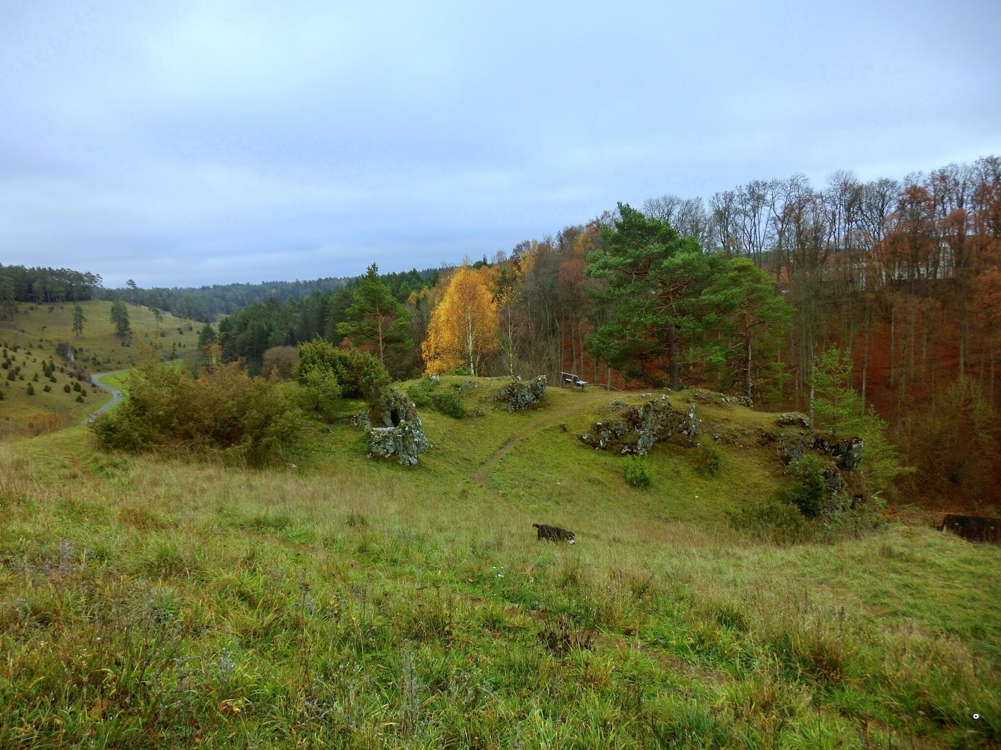 Aussichtsbank über dem Kleinziegenfelder Tal