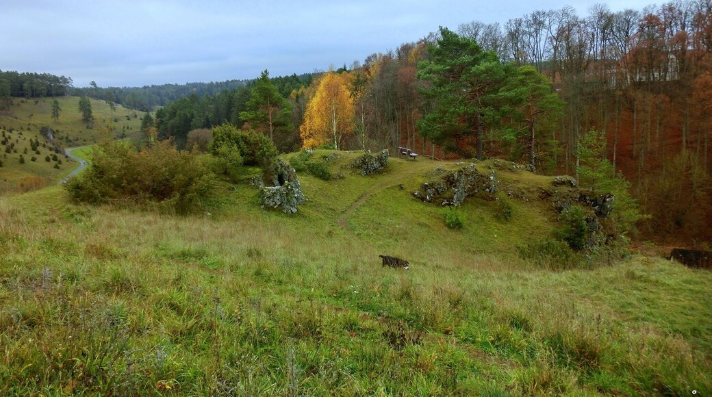 Aussichtsbank ĂŒber dem Kleinziegenfelder Tal
