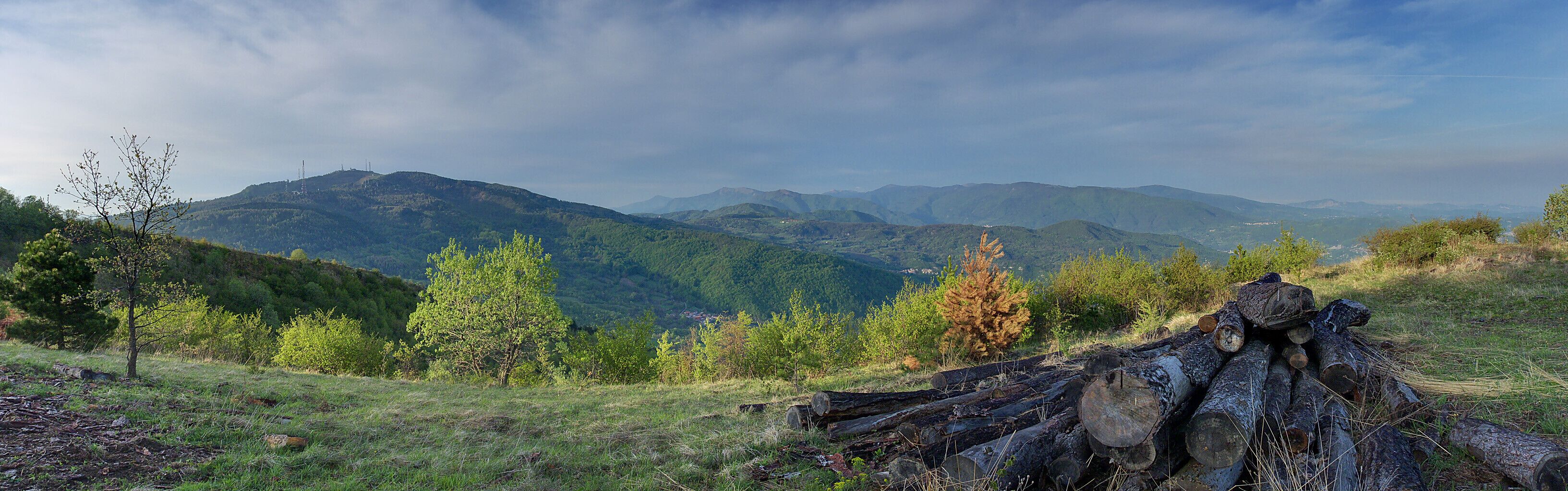 Vista verso il Lesima