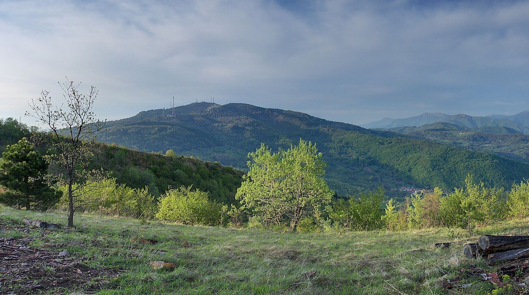 Vista verso il Lesima
