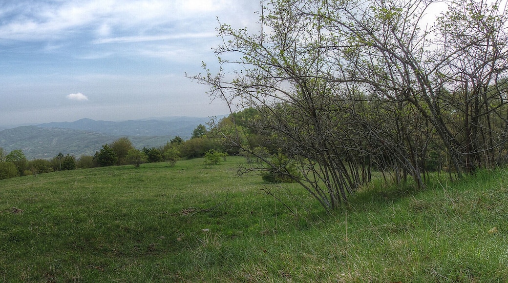 Panorama dal Monte Alpe