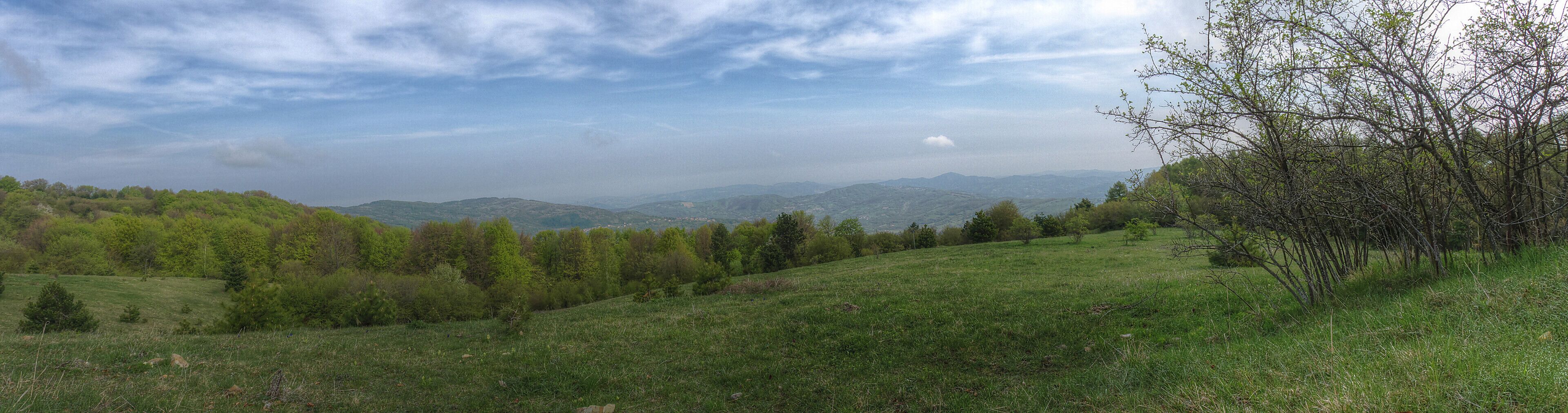A grassy hillside with trees and distant mountains under a cloudy sky.