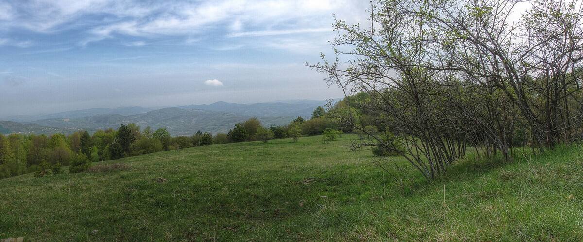 A grassy hillside with trees and distant mountains under a cloudy sky.