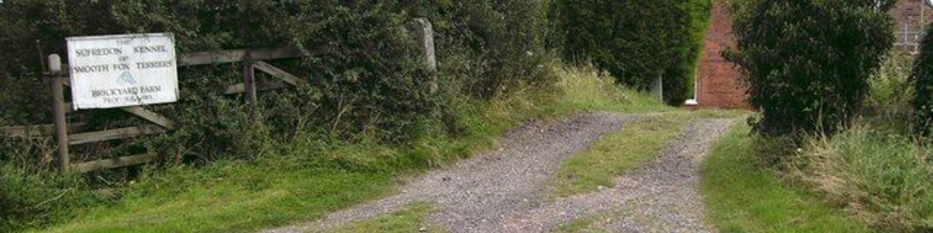Old Level Crossing, Stewton The farm track clearly shows the location of the crossing, and to the left the entrance to Surfredon Kennels.
