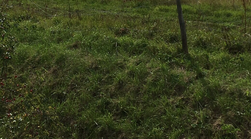 Other day on way back from work