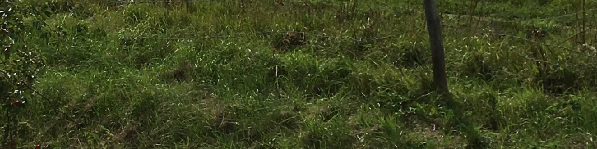 Other day on way back from work