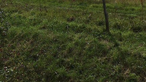 Other day on way back from work