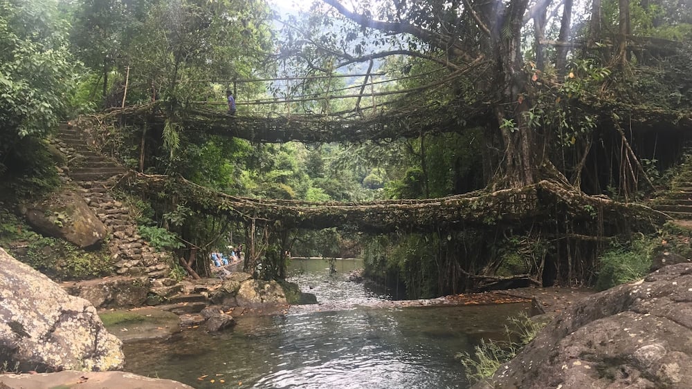 The Double decker bridge!!