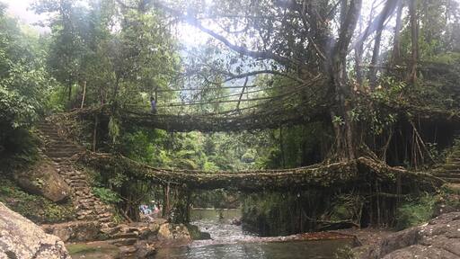 The Double decker bridge!!