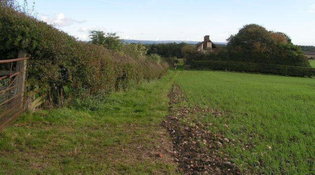 Approaching Stanhowe Cottages Ruined agricultural cottages near Stanhowe Farm on the alternative route of the Coast-to-Coast long-distance footpath.