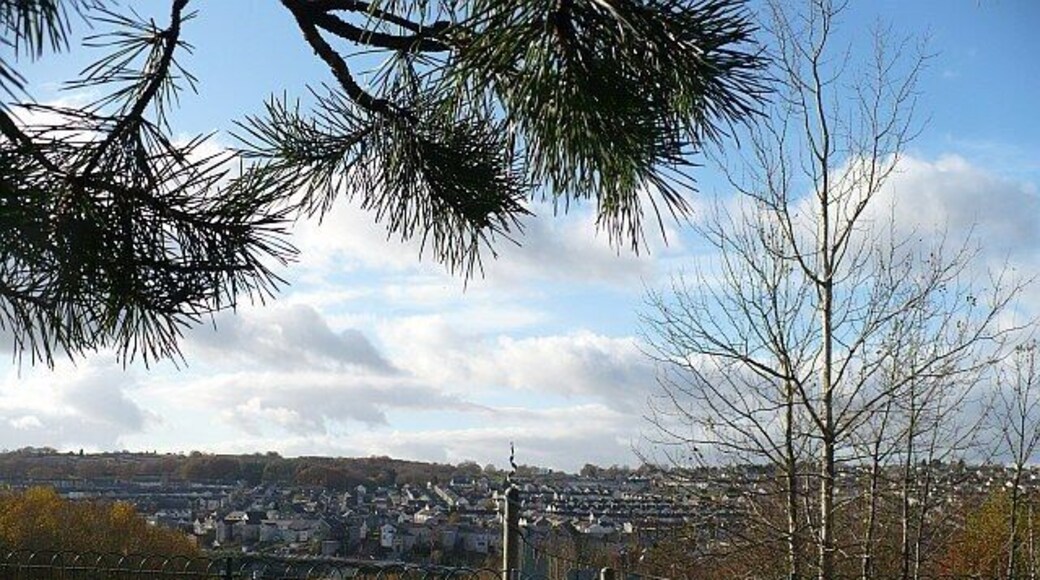 An entrance gate to Parc Coetir Bargod This country park has been created on the site of three former collieries including what was one of the highest coal tips in Europe. Bargoed can be seen on the hillside opposite.