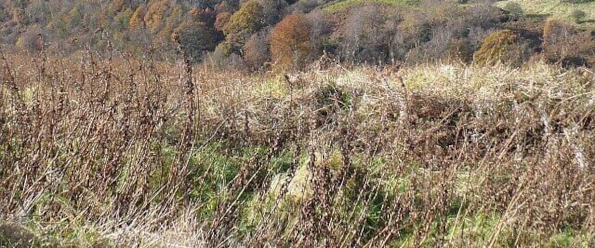 Brithdir Cemetery Situated on a hillside on the western side of the Rhymney Valley.