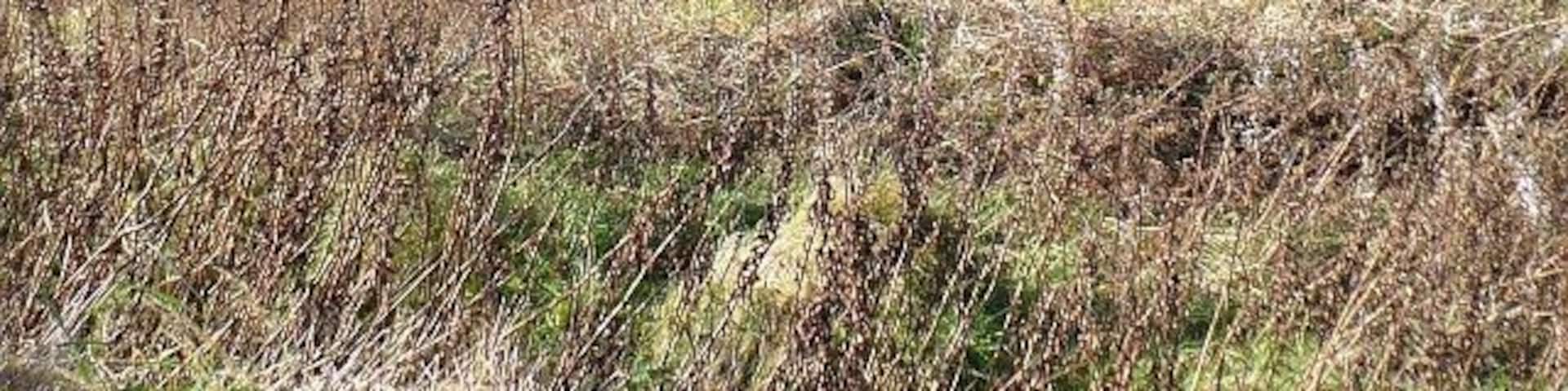 Brithdir Cemetery Situated on a hillside on the western side of the Rhymney Valley.