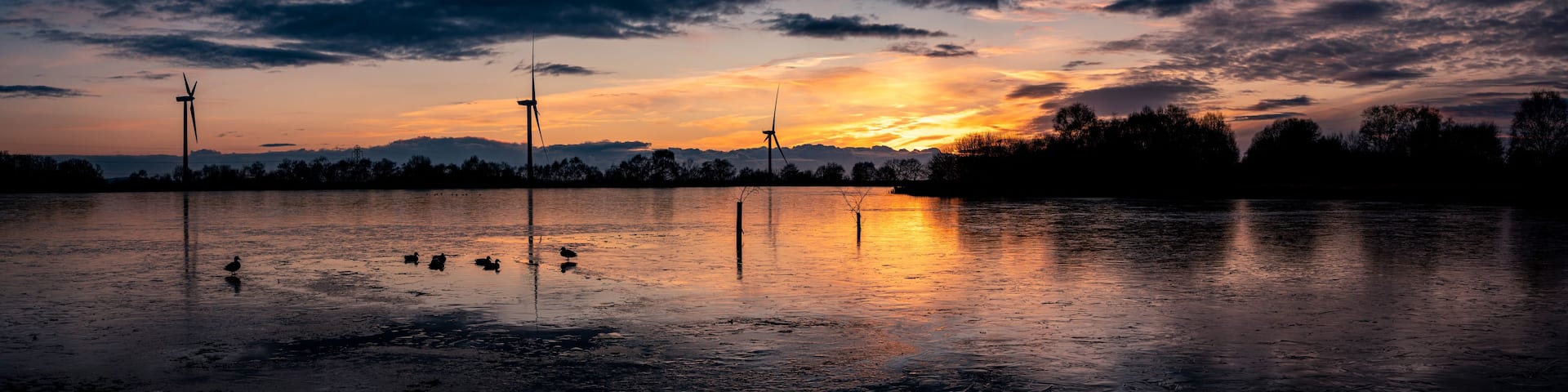 A sunset over a body of water with wind turbines and trees silhouetted against the sky.