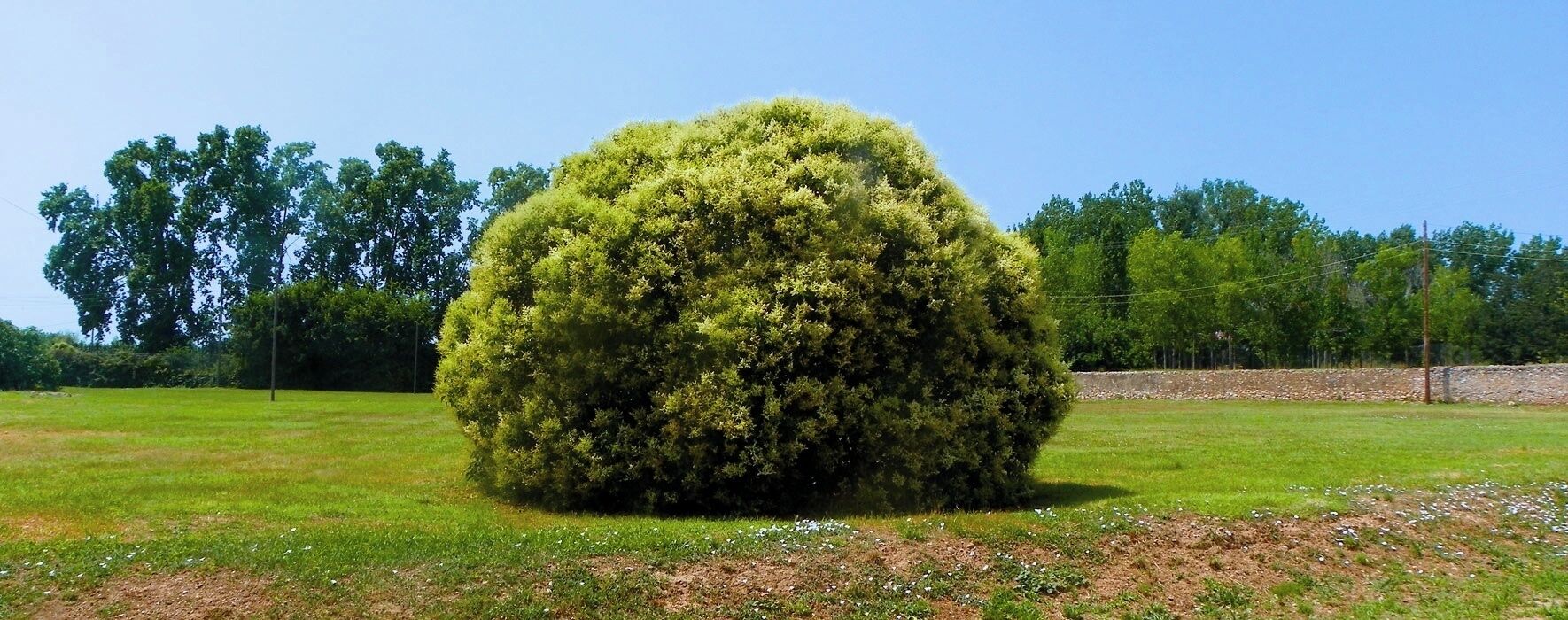 Prat prop de Centcelles, a Constantí