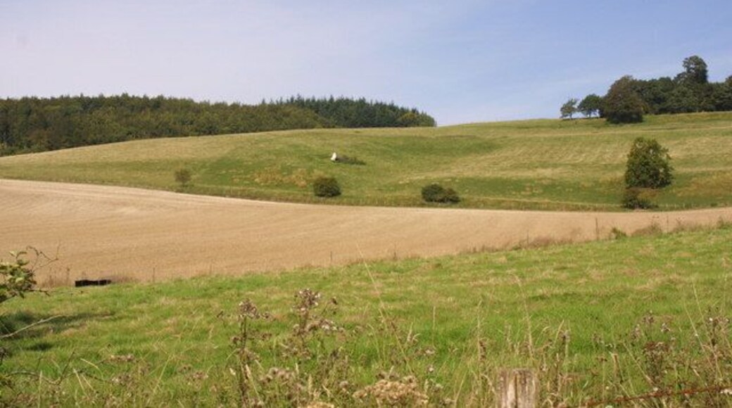 Soakham Downs Field to north of Soakham Farm leading up to grass downland with wooded hill top