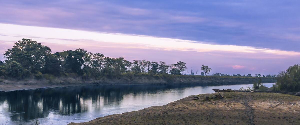 A riverbank with a grassy foreground, trees in the background, and a calm river reflecting the sky.