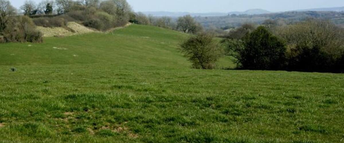 A green field with a hill, trees, and a distant view of hills.