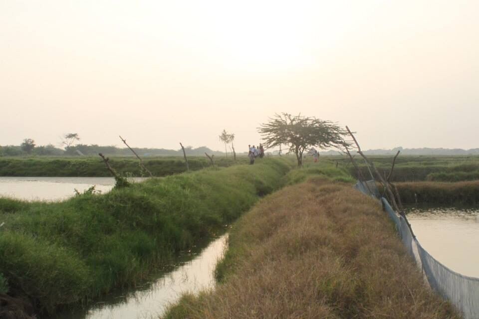 Fish farming is done here!!