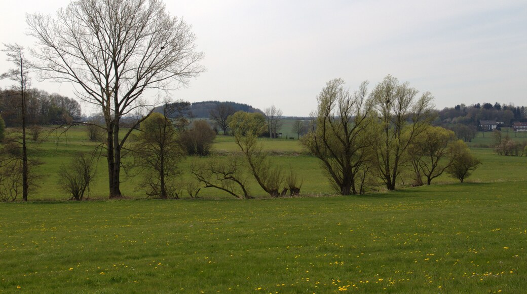 Lauter (Stream) between Hoergenau und Hopfmannsfeld, Special Areas of Conservation (FFH) No. 5322-306 , Lauterbach, Hesse, Germany