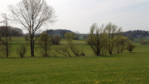 Lauter (Stream) between Hoergenau und Hopfmannsfeld, Special Areas of Conservation (FFH) No. 5322-306 , Lauterbach, Hesse, Germany