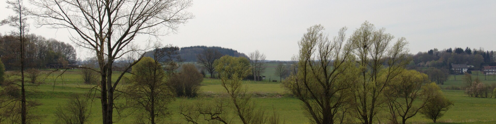 Lauter (Stream) between Hoergenau und Hopfmannsfeld, Special Areas of Conservation (FFH) No. 5322-306 , Lauterbach, Hesse, Germany